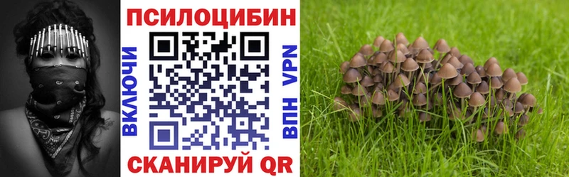 Псилоцибиновые грибы MAGIC MUSHROOMS  блэк спрут   Кушва 