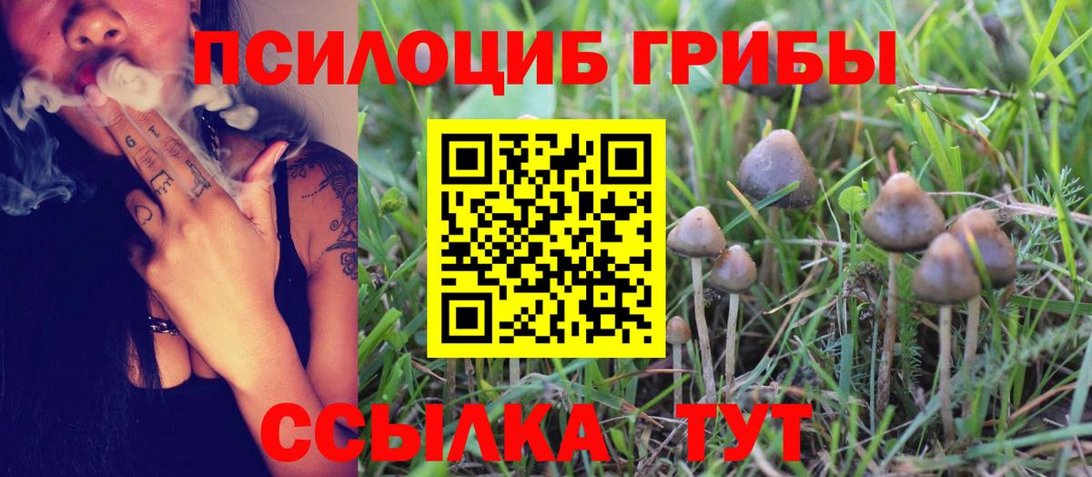 Псилоцибиновые грибы Magic Shrooms  Вход с VPN  Псилоцибиновые грибы Psilocybine cubensis  Кушва 