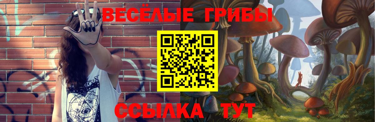 Галлюциногенные грибы мицелий Кушва