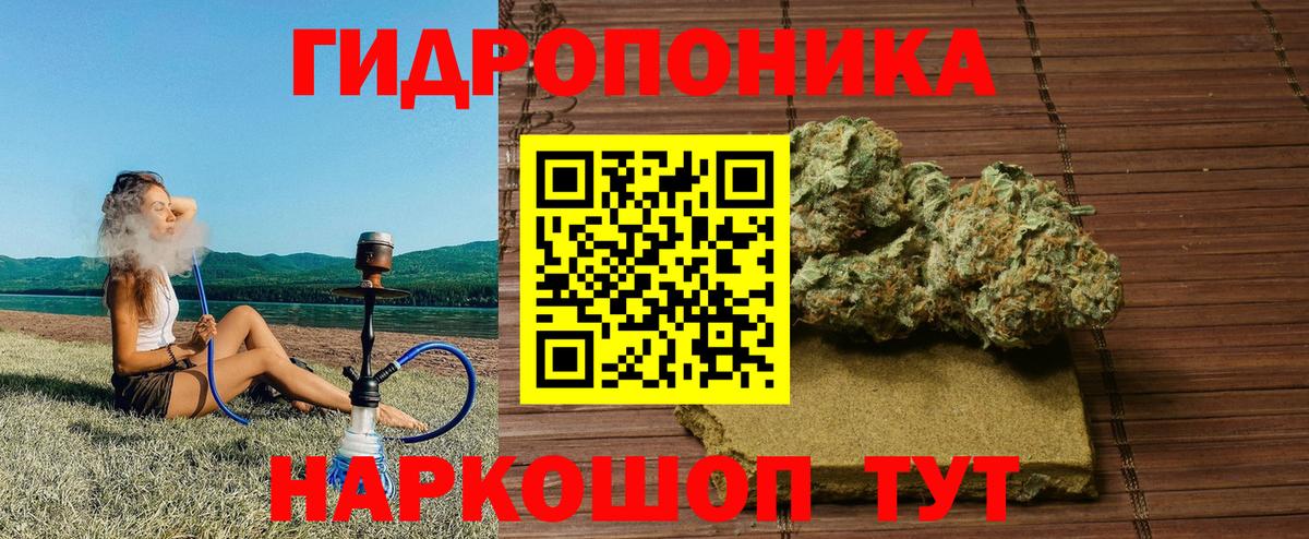Бошки марихуана OG Kush Кушва
